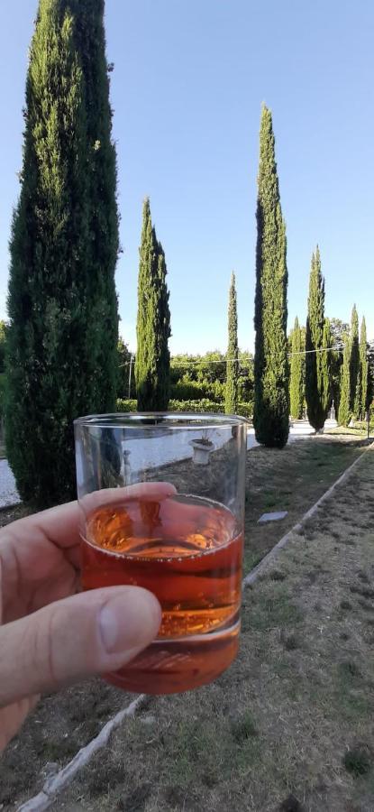 B&B Agriturismo Regno Di Toscana Collesalvetti Eksteriør billede