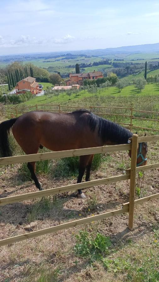 B&B Agriturismo Regno Di Toscana Collesalvetti Eksteriør billede